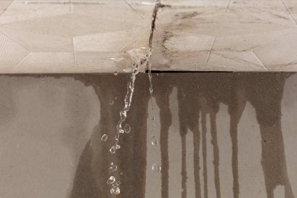 Professional Structural Drying technician working in Virgin, UT